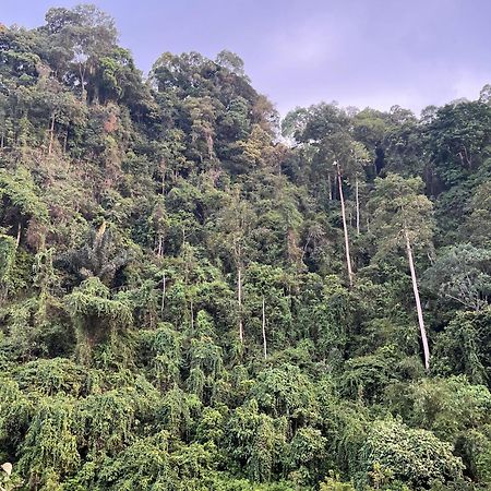 Ridho'S Homestay & Jungle Trekking บูกิตลาวัง ภายนอก รูปภาพ