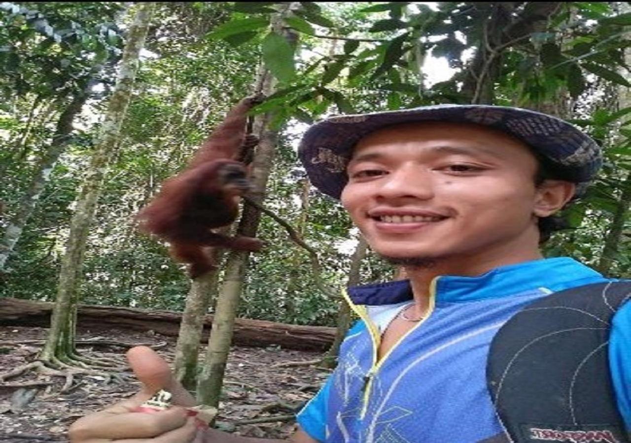 Ridho'S Homestay & Jungle Trekking บูกิตลาวัง ภายนอก รูปภาพ