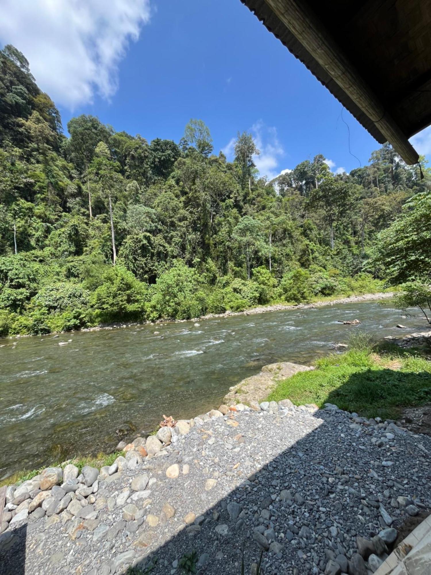 Ridho'S Homestay & Jungle Trekking บูกิตลาวัง ภายนอก รูปภาพ